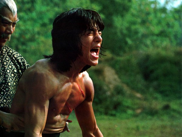 Бесстрашная гиена (6)