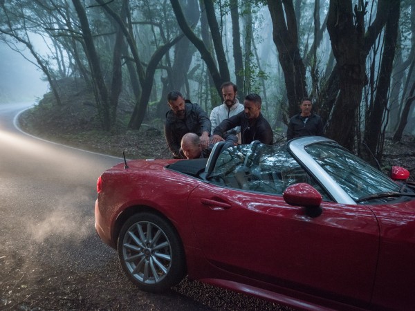 Свистуны (5)