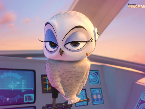 Пингвины Мадагаскара (5)