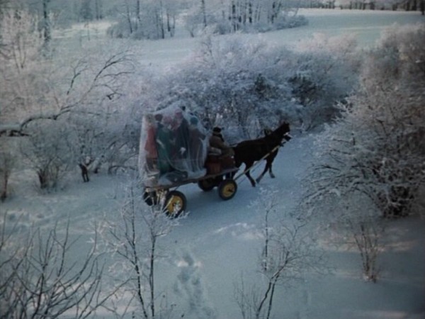 Люди и манекены (2)