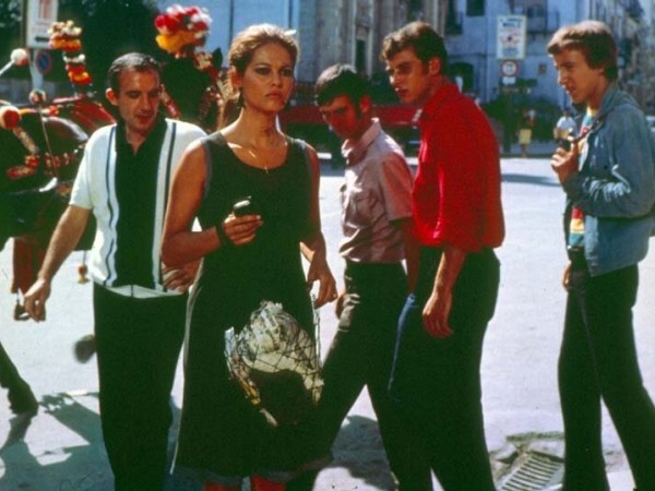 Сова появляется днём (6)