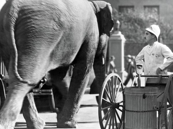 Огни большого города (4)