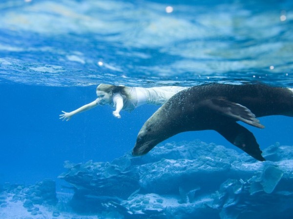 Остров Ним (3)