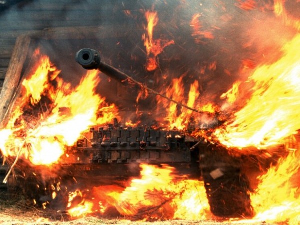 Белый тигр (5)