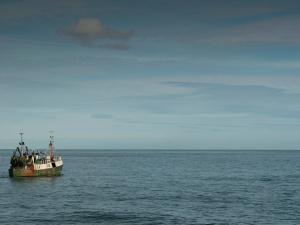 Морские паразиты (6)