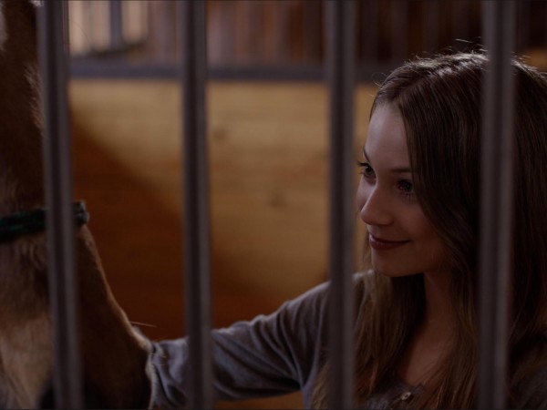 Пегас: Волшебный пони (3)