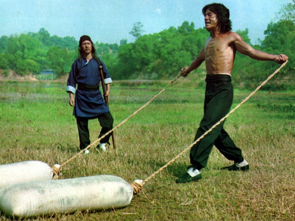 Бесстрашная гиена (5)