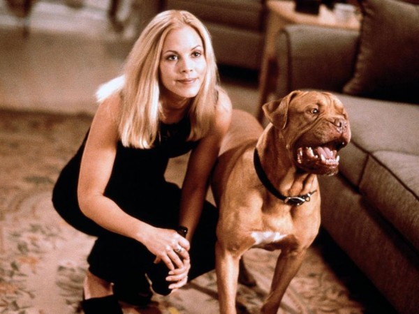 Расплата (5)