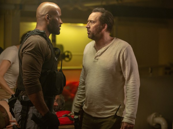 Звериная ярость (4)