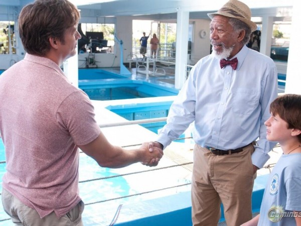 История дельфина (2)