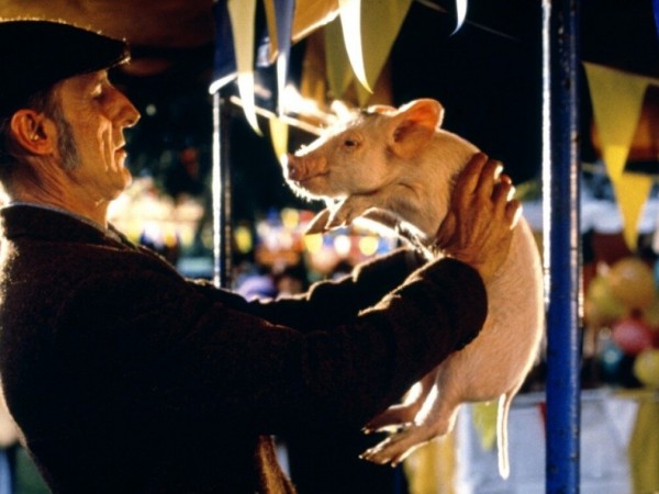 Бэйб. Четвероногий малыш (4)