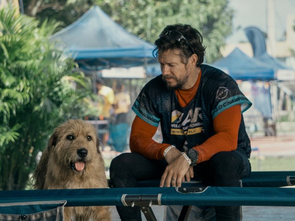 Артур, ты король