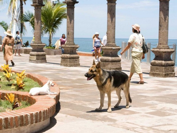 Крошка из Беверли-Хиллз (3)