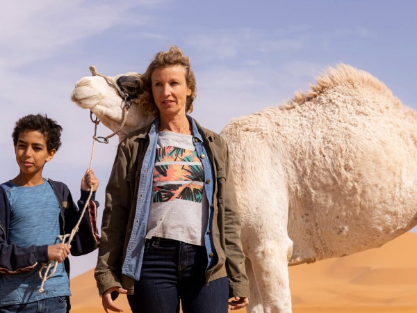 Принц пустыни