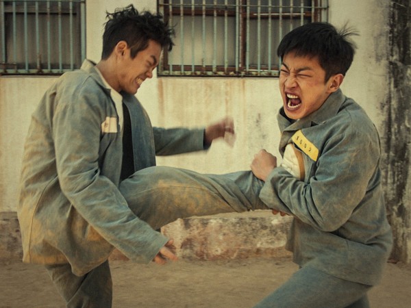 Акула: Начало (3)