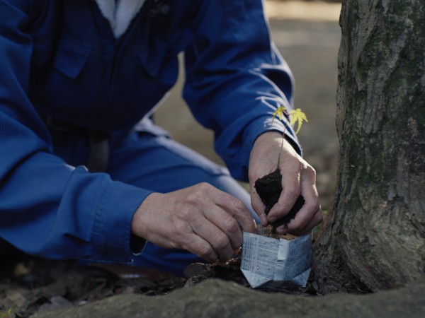 Идеальные дни (6)