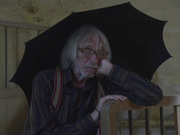 Кроличья лапа (3)