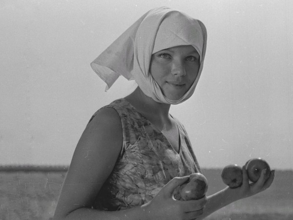 Осенние свадьбы (2)