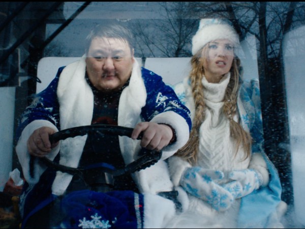 Елки новые (6)