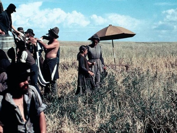 Дни жатвы (3)