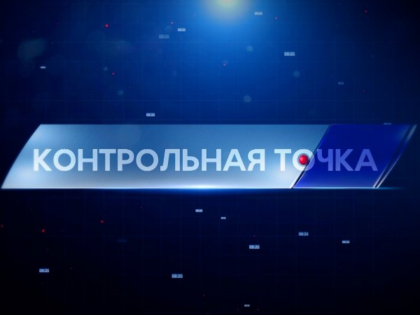 Контрольная точка