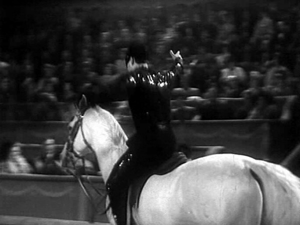 Мистер Икс (3)