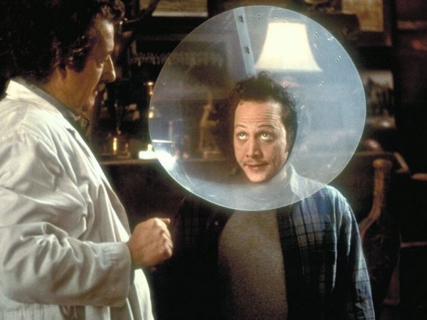 Животное (6)