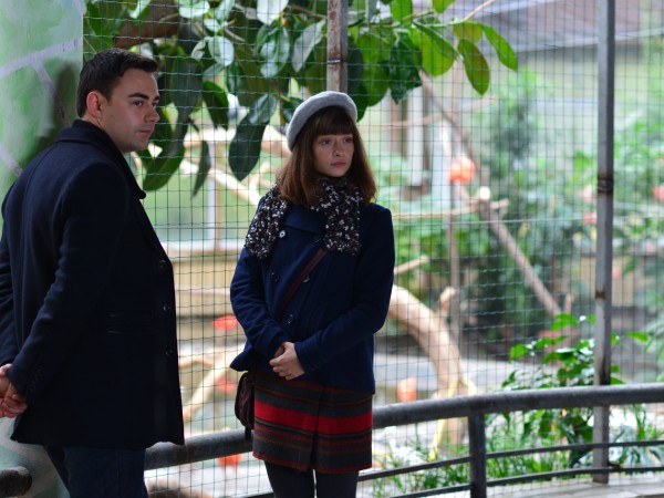 Птичка певчая (4)