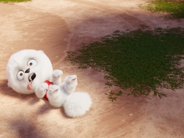 Пончары. Глобальное закругление (4)