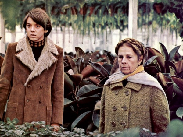 Гарольд и Мод (3)