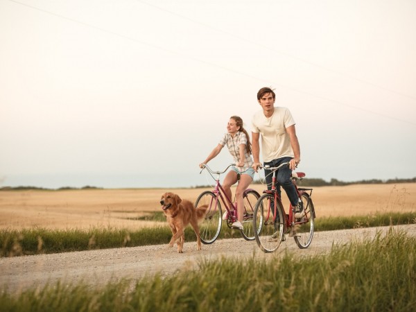 Собачья жизнь (2)