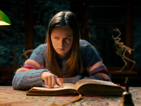 Одни на каникулах (6)