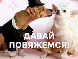 Давай повяжемся!