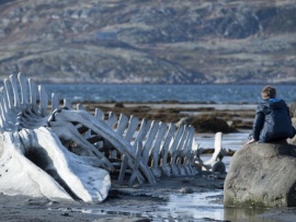 Левиафан (6)