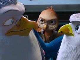 Пернатый патруль (5)