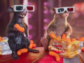 Пушистый вояж (5)