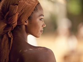 Пальмы в снегу (6)