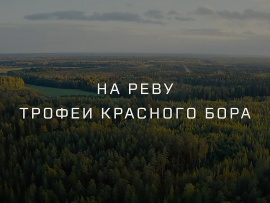 На реву. Трофеи Красного Бора