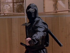 Месть ниндзя (5)