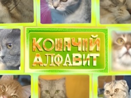Кошачий алфавит