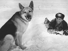 Ко мне, Мухтар! (2)