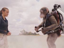 Шимпанзе под прикрытием (2)