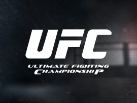 Смешанные единоборства. UFC