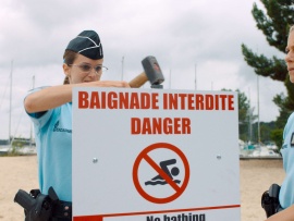 Закрытое море: Год акулы (2)