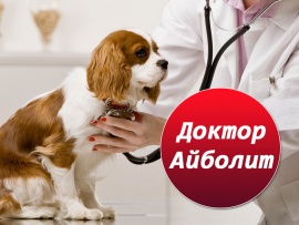 Доктор Айболит
