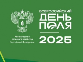 День Поля 2025