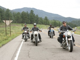 Реальные кабаны