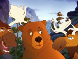 Братец медвежонок