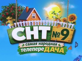СНТ №9