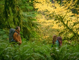 Вторая половинка (3)